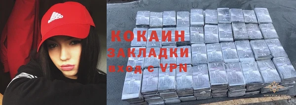 крисы Баксан
