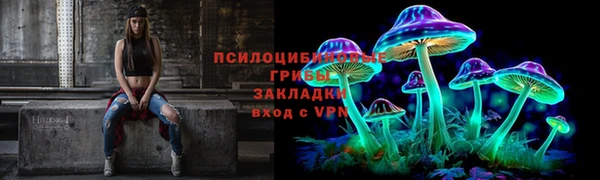 крисы Баксан