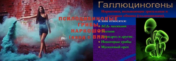 крисы Баксан