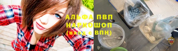 крисы Балахна