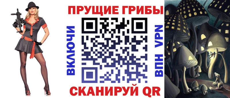 Псилоцибиновые грибы GOLDEN TEACHER  Гудермес 
