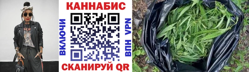 Каннабис сатива  Гудермес 